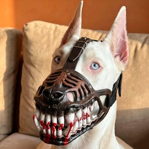 May include: A black and tan Doberman dog wearing a dark brown muzzle featuring a molded design of white teeth with red accents. The muzzle covers the snout and is secured with black straps on the sides, creating a sharp, toothy appearance.
