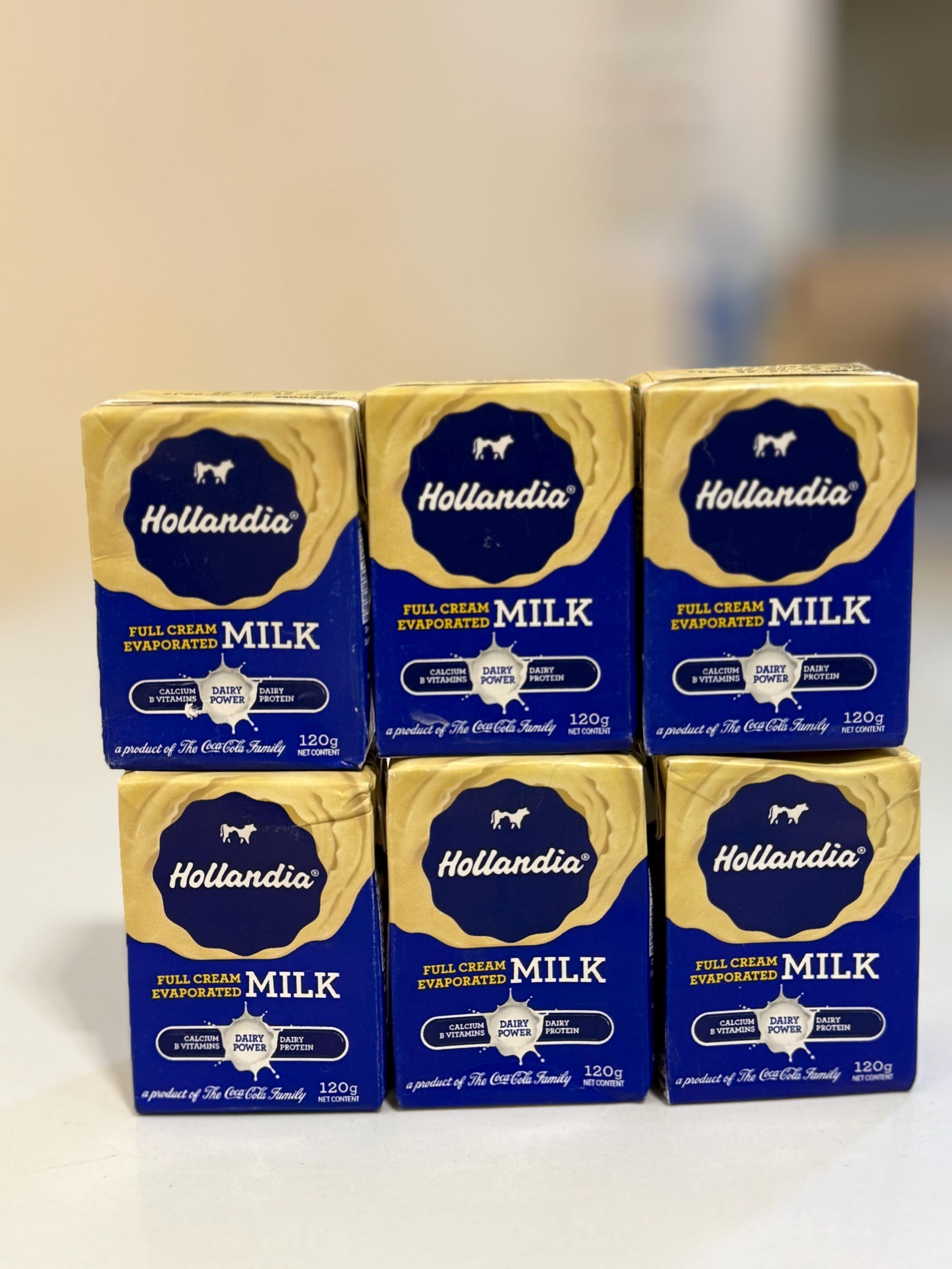Hollandia Evaporated Full Cream Milk Sachet - Etsy