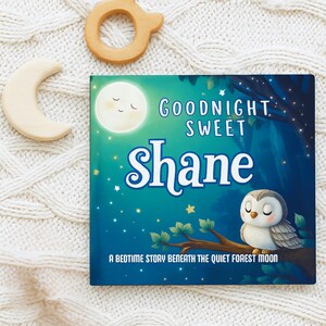 May include: A children's book titled "Goodnight Sweet Shane" with a blue cover featuring a moon, owl, and forest scene. Wooden toys, a crescent moon and a ring, are placed on a white knitted blanket.