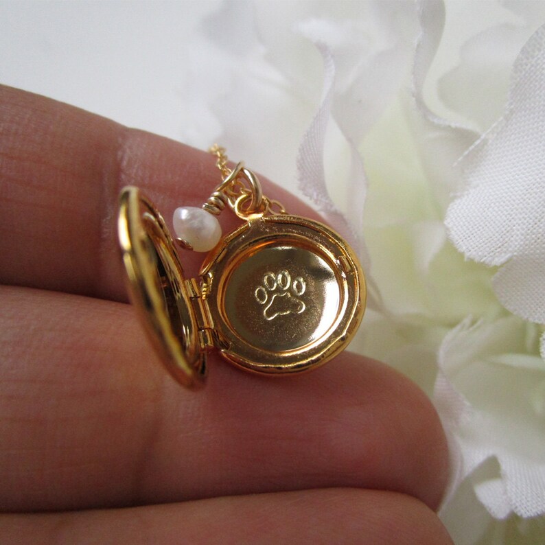 Tiny Gold Locket Necklace Paw Locket Necklace With Initial Etsy