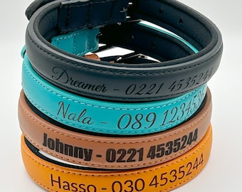 May include: Four leather dog collars stacked on top of each other. The collars are brown and turquoise. Each collar has a name and phone number engraved on it. The names are Dreamer, Nala, Johnny, and Hasso.