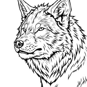 Wolf coloring page