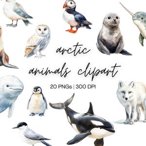 May include: A set of 20 watercolor illustrations of Arctic animals, including a polar bear, a seal, a walrus, a penguin, a narwhal, a beluga whale, a puffin, and an arctic fox. The illustrations are in a realistic style and are perfect for use in a variety of projects, such as scrapbooking, card making, and digital design.