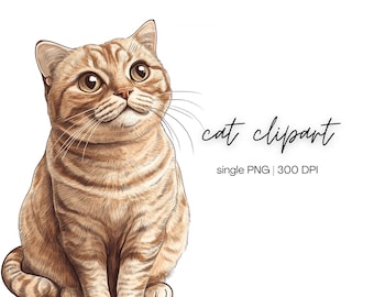 Ginger Cat Clipart | Watercolor Cat Clipart, Orange Cat Clipart, Cat Illustration, Ginger Tabby Cat Png, Digital Download