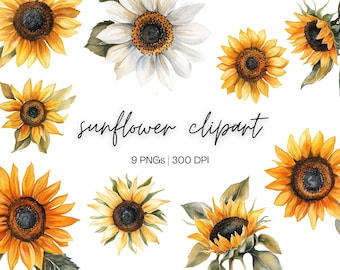 May include: A set of nine watercolour illustrations of sunflowers and a single white daisy. The sunflowers are yellow with brown centres and green leaves. The daisy is white with a yellow centre. The illustrations are high-resolution and perfect for digital projects.