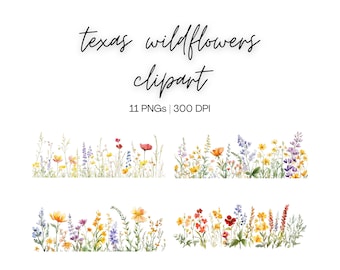 Texas Wildflowers Clipart | Bluebonnet Clipart, Texas State Flower, Wildflower Clipart, Watercolor Florals, Floral Clipart, Digital Download