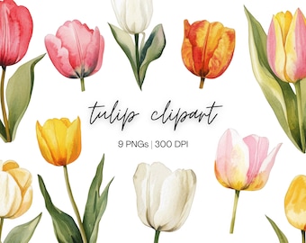 Tulip Clipart Bundle | Watercolor Tulips, Watercolor Clipart, Spring Flower Png, Flower Clipart, Tulips Clipart Png, Digital Download