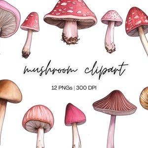 Mushroom Clipart Bundle | Watercolor Mushrooms, Magic Mushroom PNG, Forest Clipart, Wild Mushroom Clipart, Digital Download