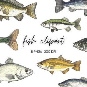 Pacchetto Clipart di pesce / Clipart di pesca, Clipart di pesce di lago, Illustrazione di pesce, Per uso commerciale Download digitale
