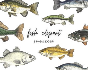 Fish Clipart Bundle | Fishing Clipart, Lake Fish Clipart, Fish Illustration, For Commercial Use Digital Download