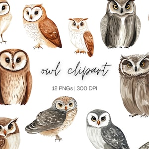 Clipart hibou | Clipart hibou réaliste, des cliparts harfang des neiges, illustré des cliparts hibou, des cliparts oiseau, des cliparts hibou pour la papeterie