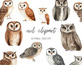 Owl Clipart | Realistic Owl Clipart, Snowy Owl Clipart, Illustrated Owl Clipart, Bird Clipart, Owl Clipart for Stationary