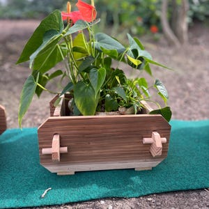 Handgjorda cederträdgårdslådor