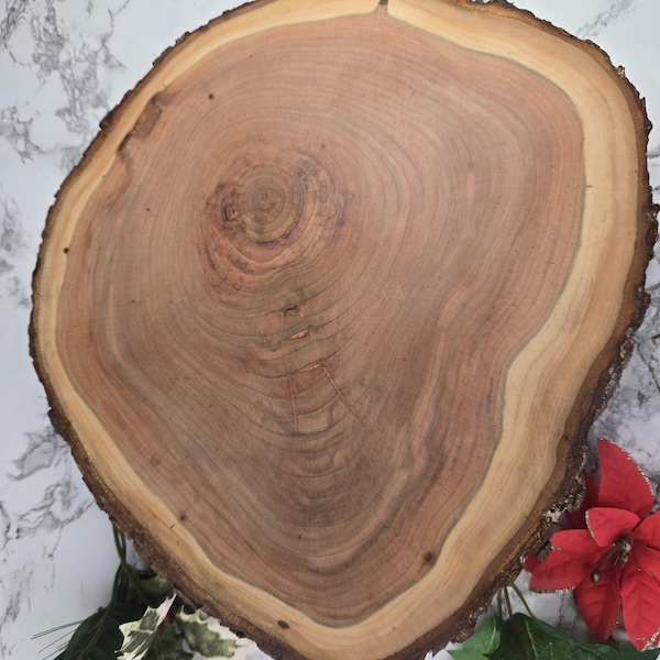 Black Cherry Live Edge Wood Slices/Rounds | Approx 10-11” across, 1-2” thick | Rustic Decor | Wedding Centerpiece | DIYCrafts | Epoxy Pieces