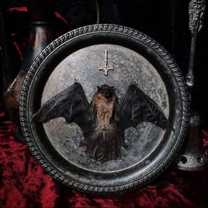 May include: A silver tray with an ornate design features a taxidermied bat with outstretched wings. A silver upside-down cross is above the bat.