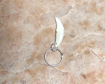 Genuine Alaskan Wolf Tooth Key Ring from 15 Miles North of Homer Alaska