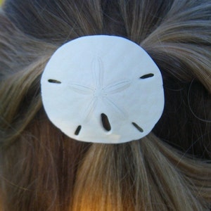 Sand Dollar Hair Barrette, Beach Wedding, Sand Dollar, Mermaid Hair, Nautical Wedding, Beach Bridal, Summer Hair Clip,Gifts for beach lovers image 3