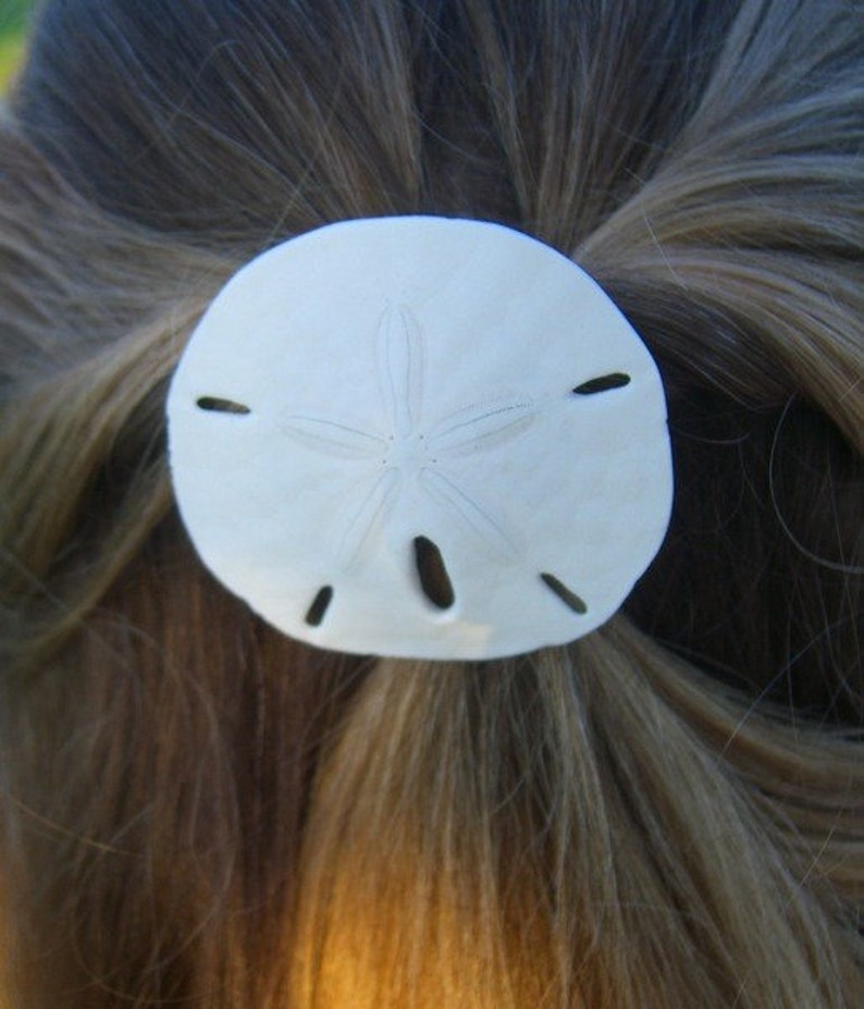 Sand Dollar Hair Barrette, Beach Wedding, Sand Dollar, Mermaid Hair, Nautical Wedding, Beach Bridal, Summer Hair Clip,Gifts for beach lovers image 3