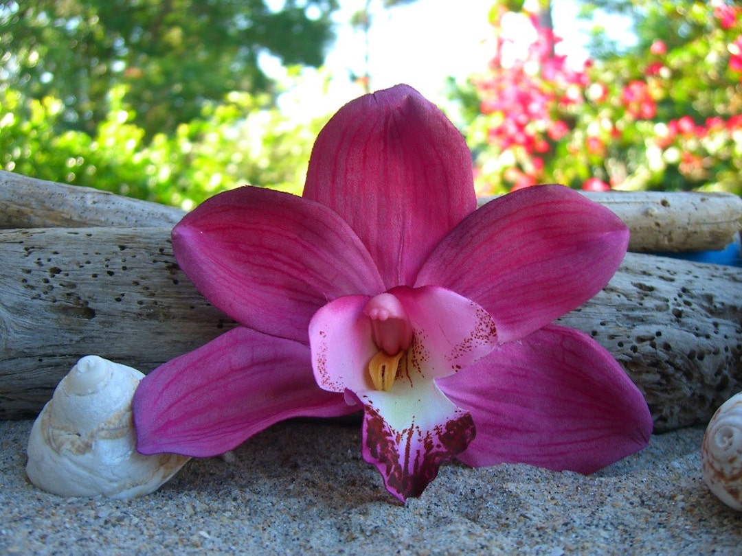 Bridal Orchid Hair Flowertropical Wedding Hair - Etsy Bridal Orchid Hair Flowertropical Wedding Hair - Etsy