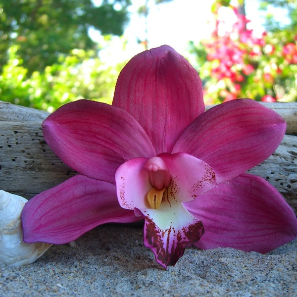 Realistic Orchid Hair Flower Beach Wedding Tropical Vacation Vow Renewal Hawaiian Orchid Cymbidium Orchid Hair Clip