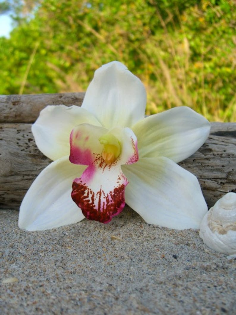 Orchid Flower Hair Clip,Weddings, Beach Destination Weddings, White Orchid,Vacations,Tropical Flowers,Hawaiian,Paradise, Floral Hair Clip, image 1