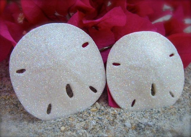 Sand Dollar Bobby Pin Beach Weddings Beach Bride Beach Flower Girl