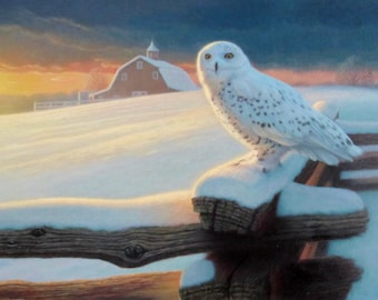 Snowy Owl Original Painting, Northern Guest by Richard Burns, Acrylic on Canvas, 18 x 24.