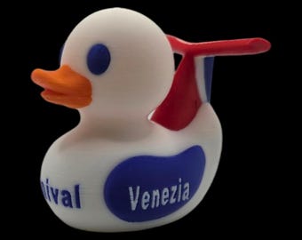 Cruise Ship inspired Duck Hide Game Collector Jeep Ducking Carnival Cruise With Ship Name