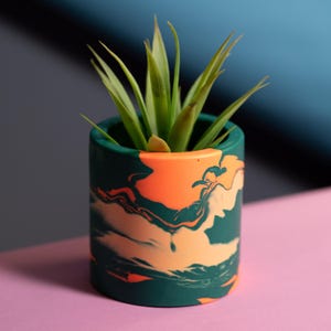 Könnte beinhalten: Ein kleiner, zylindrischer Blumentopf mit einem grün-orangen Marmormuster. Er enthält eine kleine, grüne Pflanze mit langen, dünnen Blättern. Der Hintergrund ist ein Farbverlauf aus Blau und Rosa.
