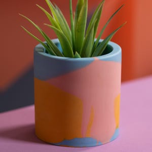 Op de afbeelding: Een kleine groene succulent plant in een kleurrijke pot. De pot is lichtblauw, geel en roze met een marmerpatroon.
