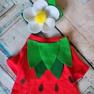 Doggie Strawberry -matching infant costumes available
