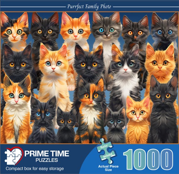 The 1000 Piece Jigsaw Puzzle for Adults - Cute and Colorful Cat