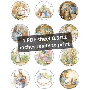 Toppers per cupcake di Peter Rabbit, decorazioni per la festa del primo compleanno, download immediato, toppers per cupcake stampabili.