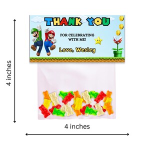 May include: A thank you favor bag with a blue, green, and red Mario and Luigi character design. The bag is 4 inches wide and 4 inches tall. The text on the bag reads "THANK YOU FOR CELEBRATING WITH ME! Love, Wesley".