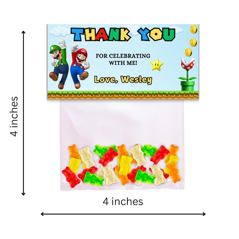 May include: A thank you favor bag with a blue, green, and red Mario and Luigi character design. The bag is 4 inches wide and 4 inches tall. The text on the bag reads "THANK YOU FOR CELEBRATING WITH ME! Love, Wesley".