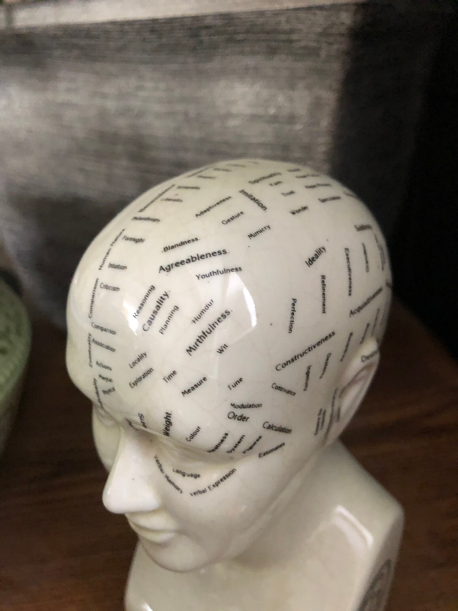 Ceramic Phrenology head / medical bust by L.N. Fowler Etsy