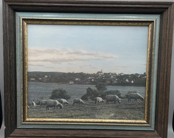 W.R. MacAskill vintage 1970s reprint photograph, Counting Sheep, Guysborough, Nova Scotia 1932