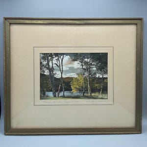 Fotografía original firmada por W.R. MacAskill: Abedules plateados, Ingonish, Isla del Cabo Bretón, Nueva Escocia
