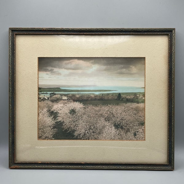 Antique tinted photograph in frame of Blomidon, Annapolis Valley, Nova Scotia with apples trees in blossom