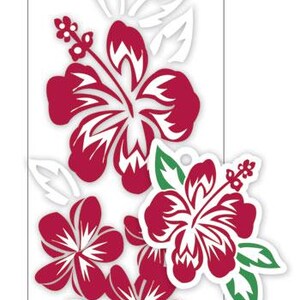 May include: A rectangular sticker sheet featuring a vertical pattern of deep red hibiscus flowers with white accents and white leaves. A separate, die-cut hibiscus flower sticker with deep red petals and green leaves is layered over the bottom right.