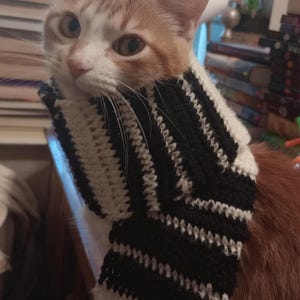 May include: An orange and white cat wearing a black and white striped crochet scarf. The scarf is wrapped around the cat's neck. The cat is looking at the camera.