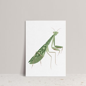 May include: A vertical rectangular print featuring a stylized illustration of a praying mantis. The insect is rendered in various shades of green, with dark green geometric and floral patterns decorating its wings and body against a white background.