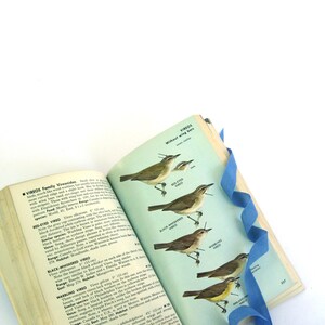 A Field Guide to the Birds by Roger Tory Peterson Illustrated ORNITHOLOGY Book, Vintage Bird Guide Book, Vintage Bird Art, Old Bird Guide image 2