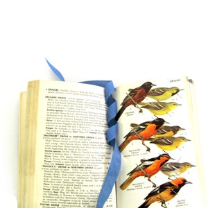 A Field Guide to the Birds by Roger Tory Peterson Illustrated ORNITHOLOGY Book, Vintage Bird Guide Book, Vintage Bird Art, Old Bird Guide image 6