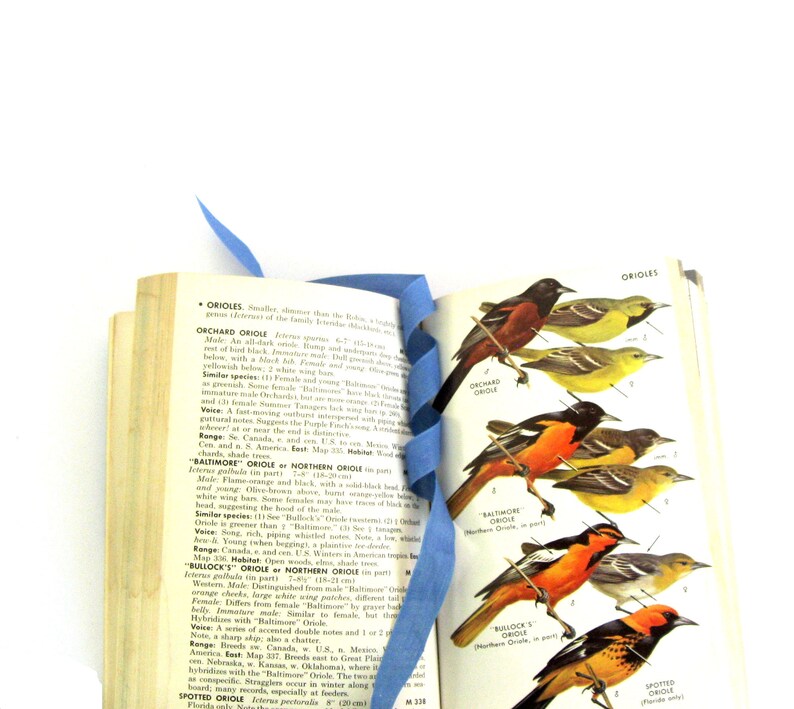 A Field Guide to the Birds by Roger Tory Peterson Illustrated ORNITHOLOGY Book, Vintage Bird Guide Book, Vintage Bird Art, Old Bird Guide image 6