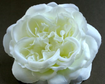 White cabbage rose | Etsy