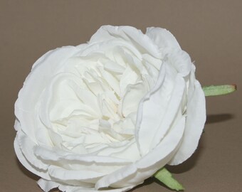White Cabbage Rose | Etsy