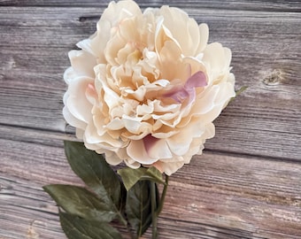 Large (6") Cream Boutique Peony - With Beige and Antique Lavender Highlights - Artificial Flowers, Silk Flowers