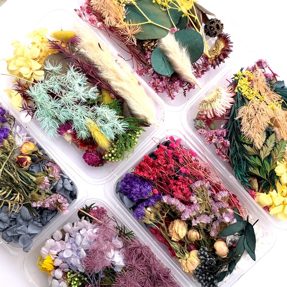  100 Pieces Dried Pressed Flowers for Resin Real Nature Flowers  with Leaves Dried Flowers for Crafts DIY Art Candle Soap Making Nail Decors  (Colorful Flower)