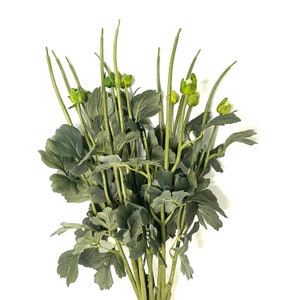 10 Botanical Floral Stems with Leaves for DIY Bouquets - No Flowers